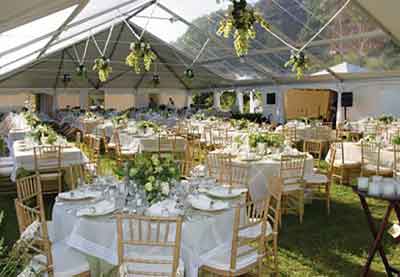 Clear top tent rental options